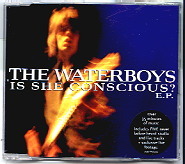 The Waterboys - Is She Conscious EP